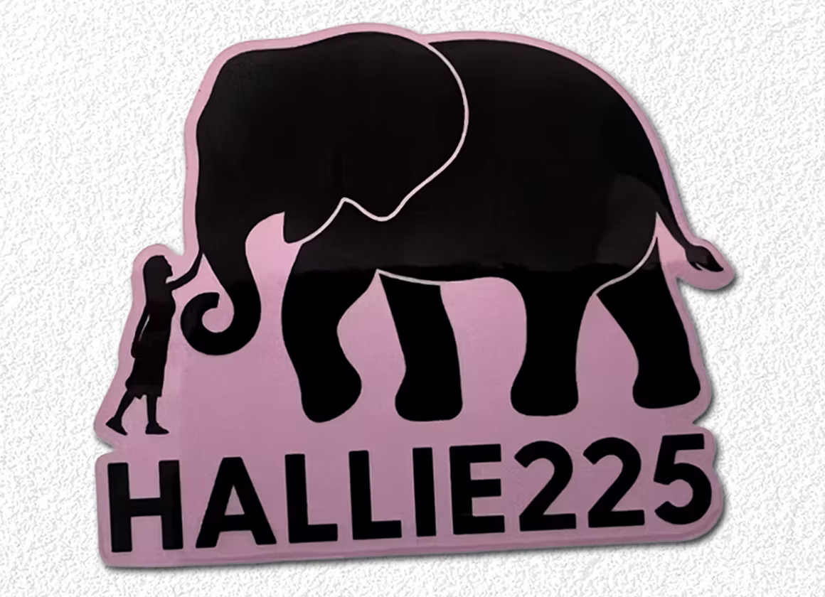 225 Sticker